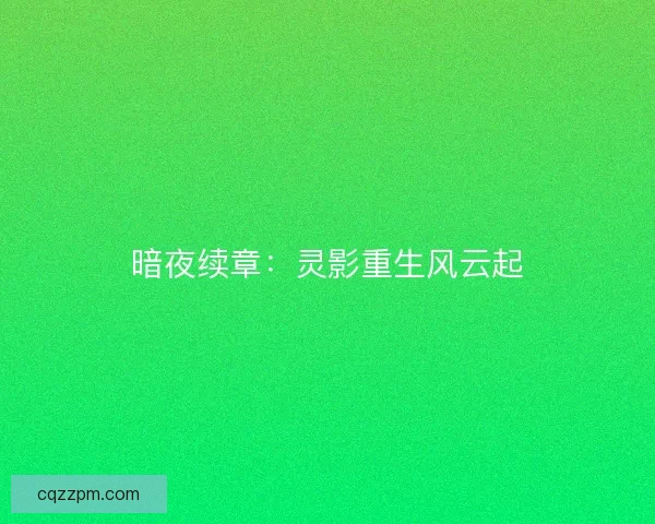 暗夜续章：灵影重生风云起