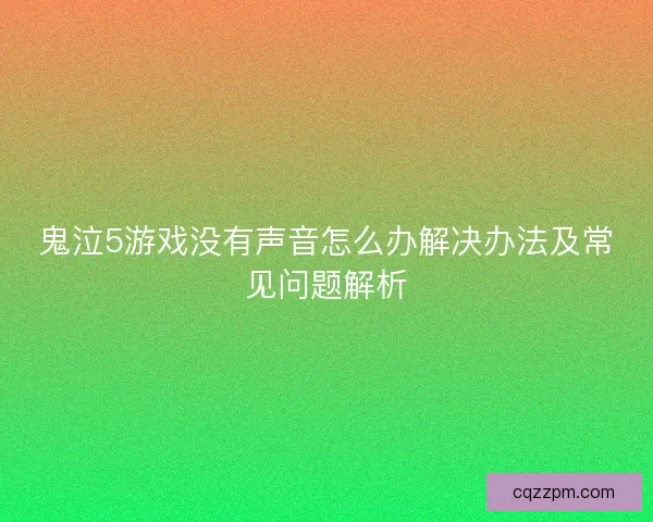 鬼泣5游戏没有声音怎么办解决办法及常见问题解析