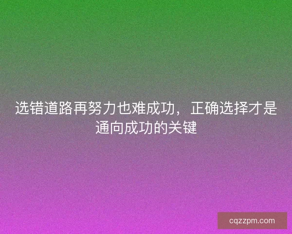 选错道路再努力也难成功，正确选择才是通向成功的关键