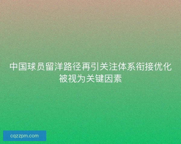 中国球员留洋路径再引关注体系衔接优化被视为关键因素